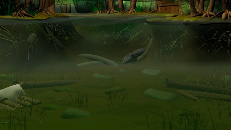 Swamp 3D Game